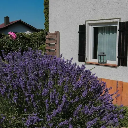 Low Budget Almhotel Pinter / Adults Only
